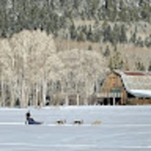 Meet your Posher, Janelle